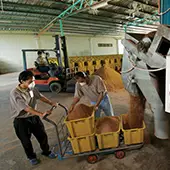 ganoexcelshop-gano-excel-ganoderma-proionta-karkinos-therapeia-mixanismos-anamiksis