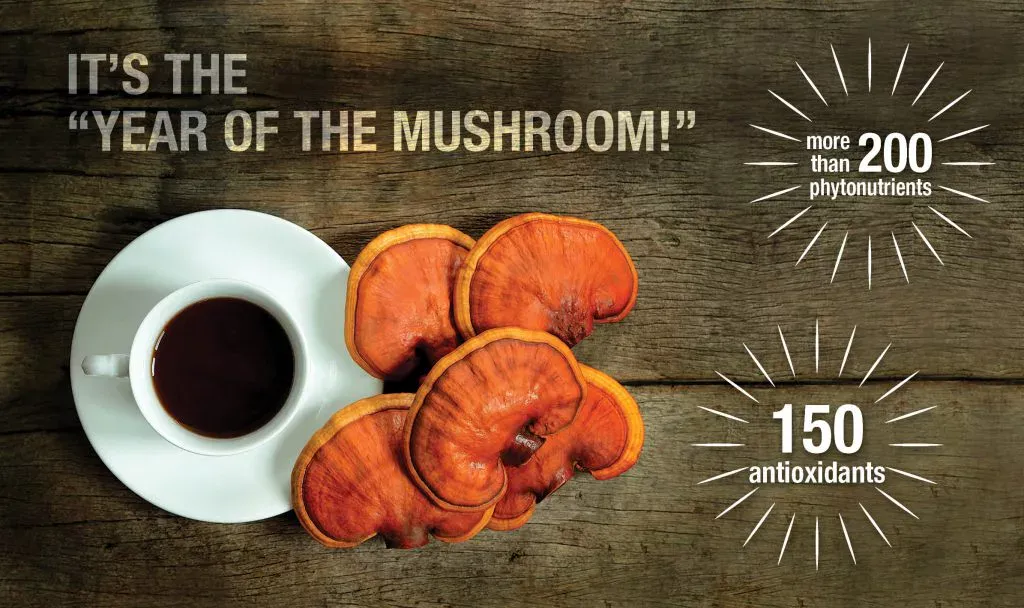 ganoexcelshop-gano-excel-ganoderma-proionta-karkinos-therapeia-year-of-the-mushroom