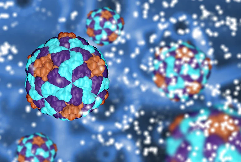 thavmatourgos-kosmos-ganoderma-lucidum-ipatitida