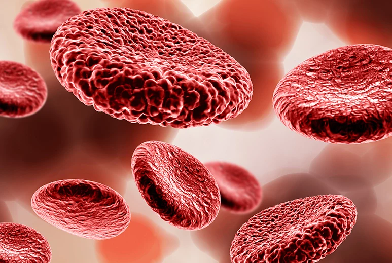 ganoexcelshop-gano-excel-ganoderma-lucidum-antimetopisi-anaimias